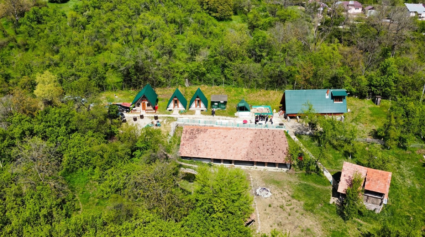 Vedere aeriană — Cătunu' Lui Emil, cabane și gospodărie