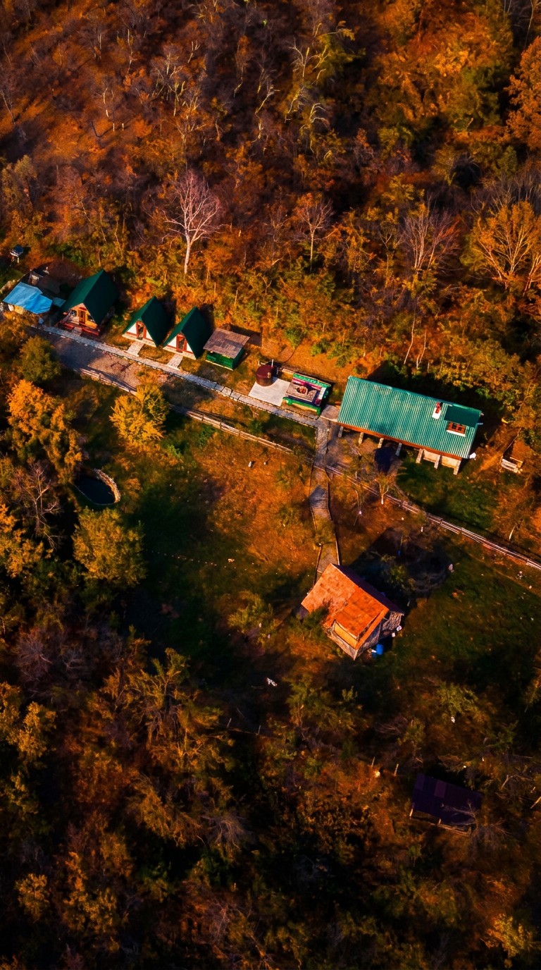 Vedere aeriană verticală a gospodăriei, toamna